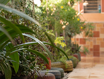 img Escuela de verano